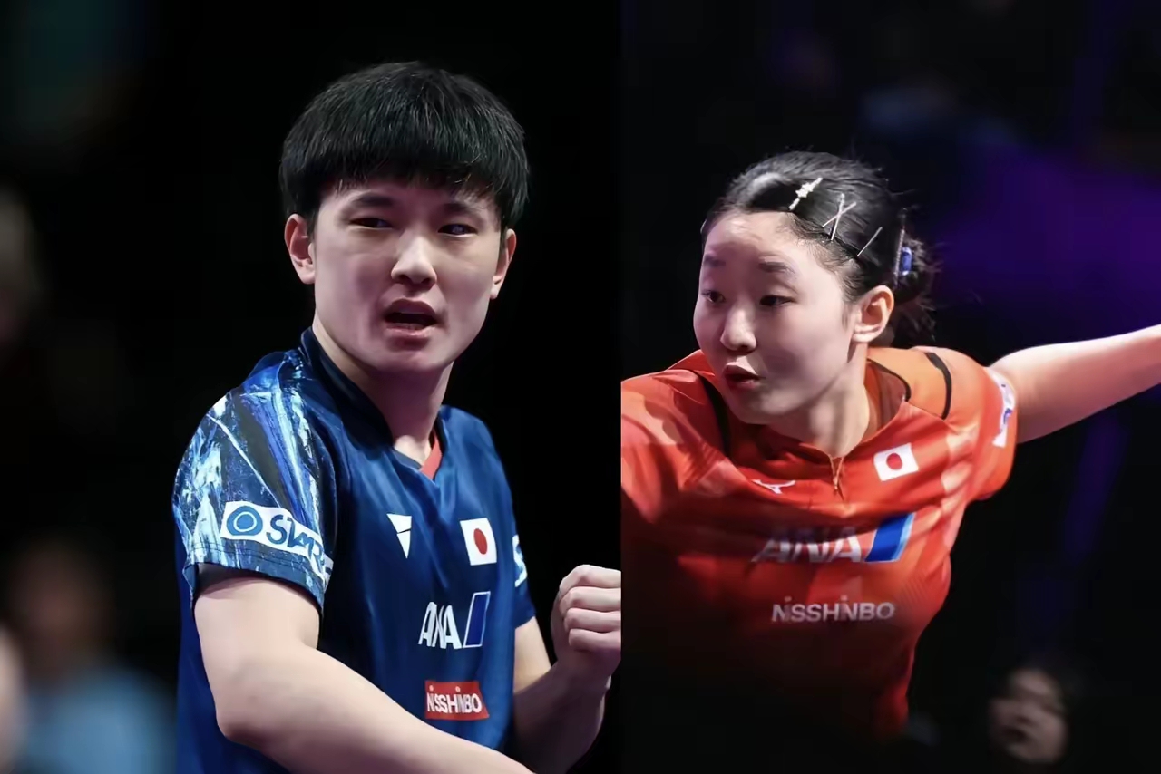 法国队逆转韩国队，张本智和惊艳四座