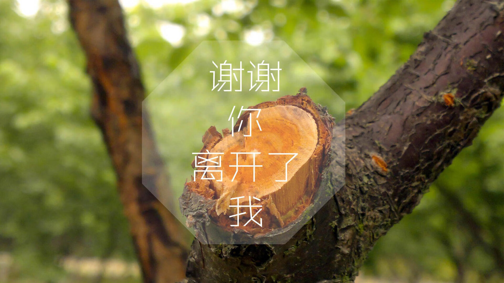 奥运周期关键战焦点战，皇马式稳健，荷兰足球的启示与超越