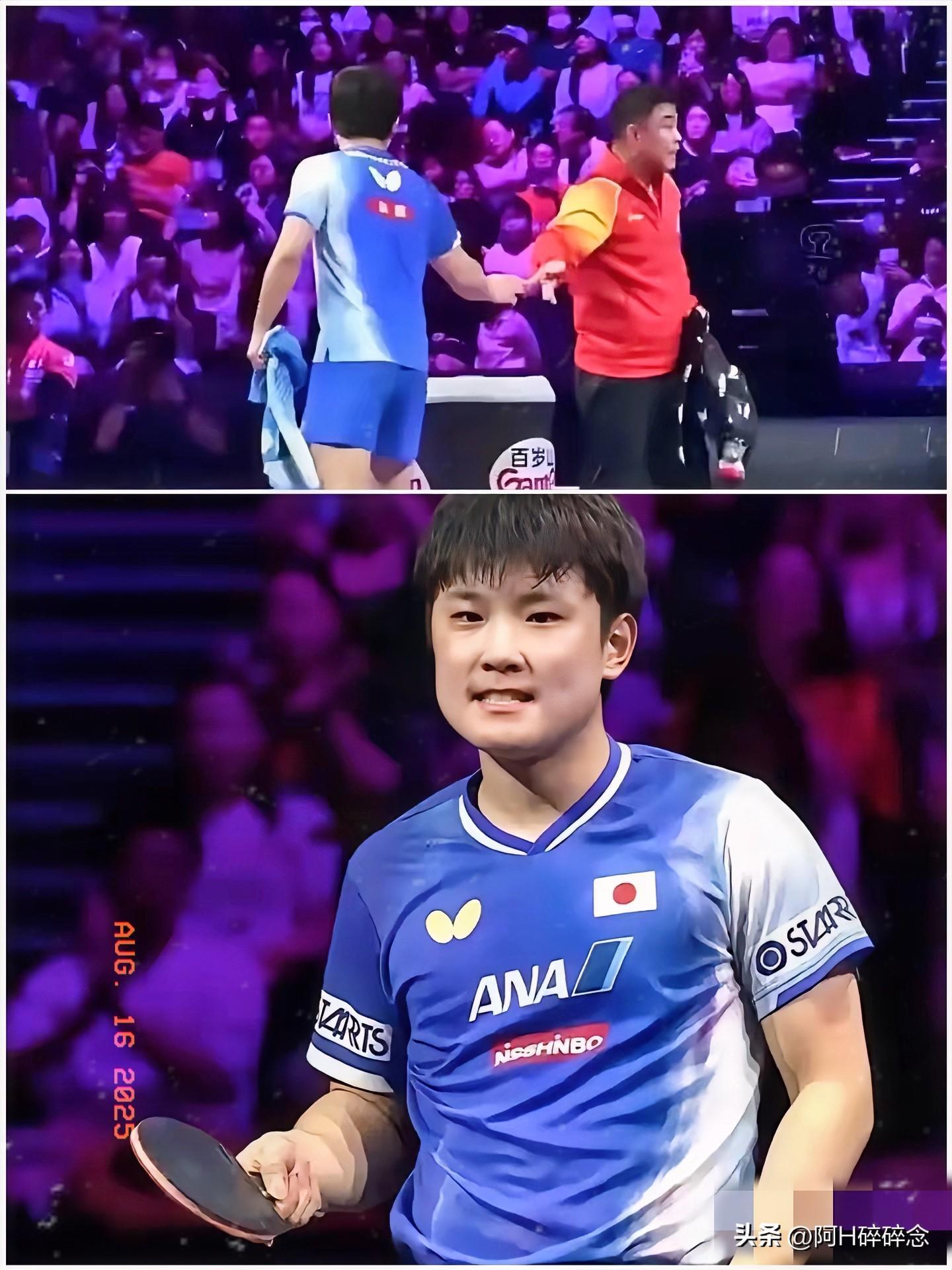 日本队完胜英格兰队，张本智和统治全场