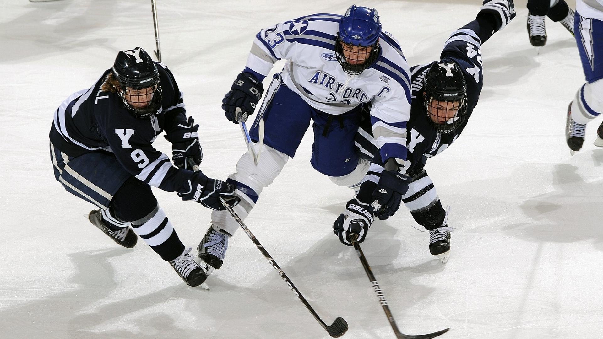 欧冠半决赛焦点战，公牛全面压制老鹰，战术纪律铸就压倒性胜利