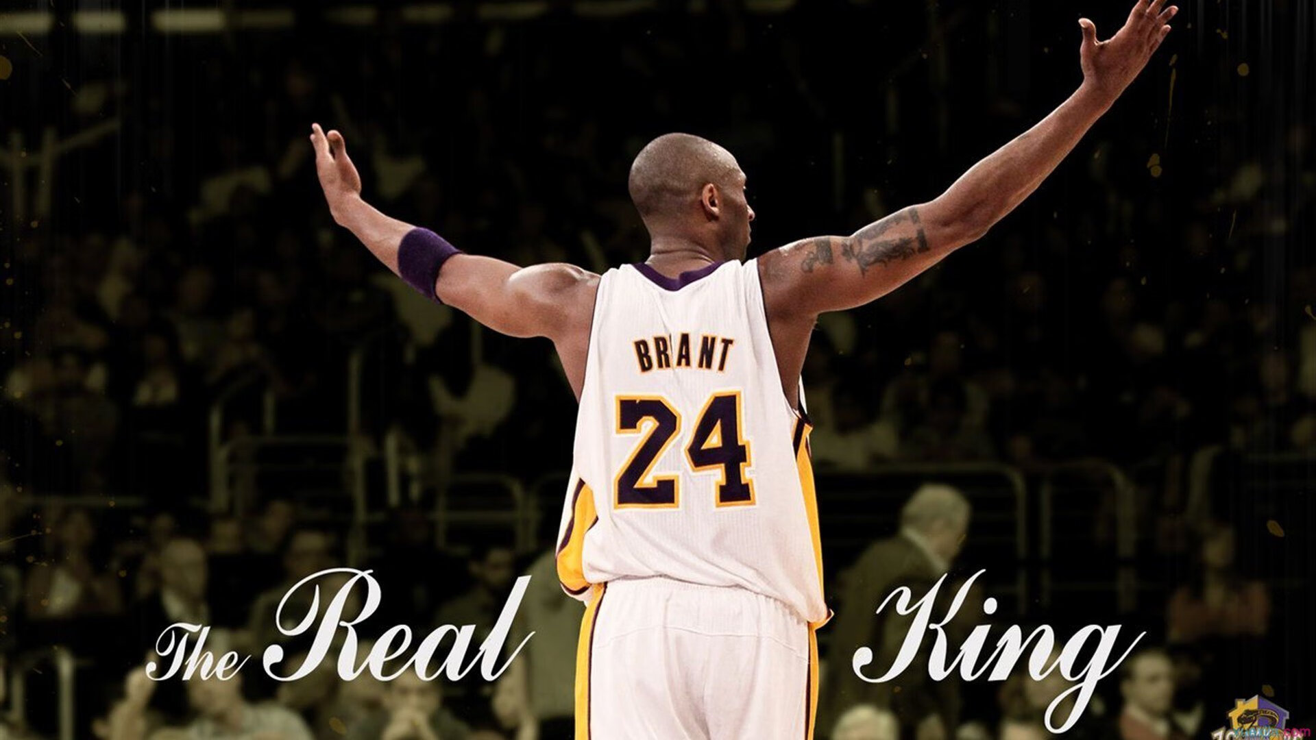 北境新王登基夜，西亚卡姆刷新纪录率猛龙鏖战险胜国王