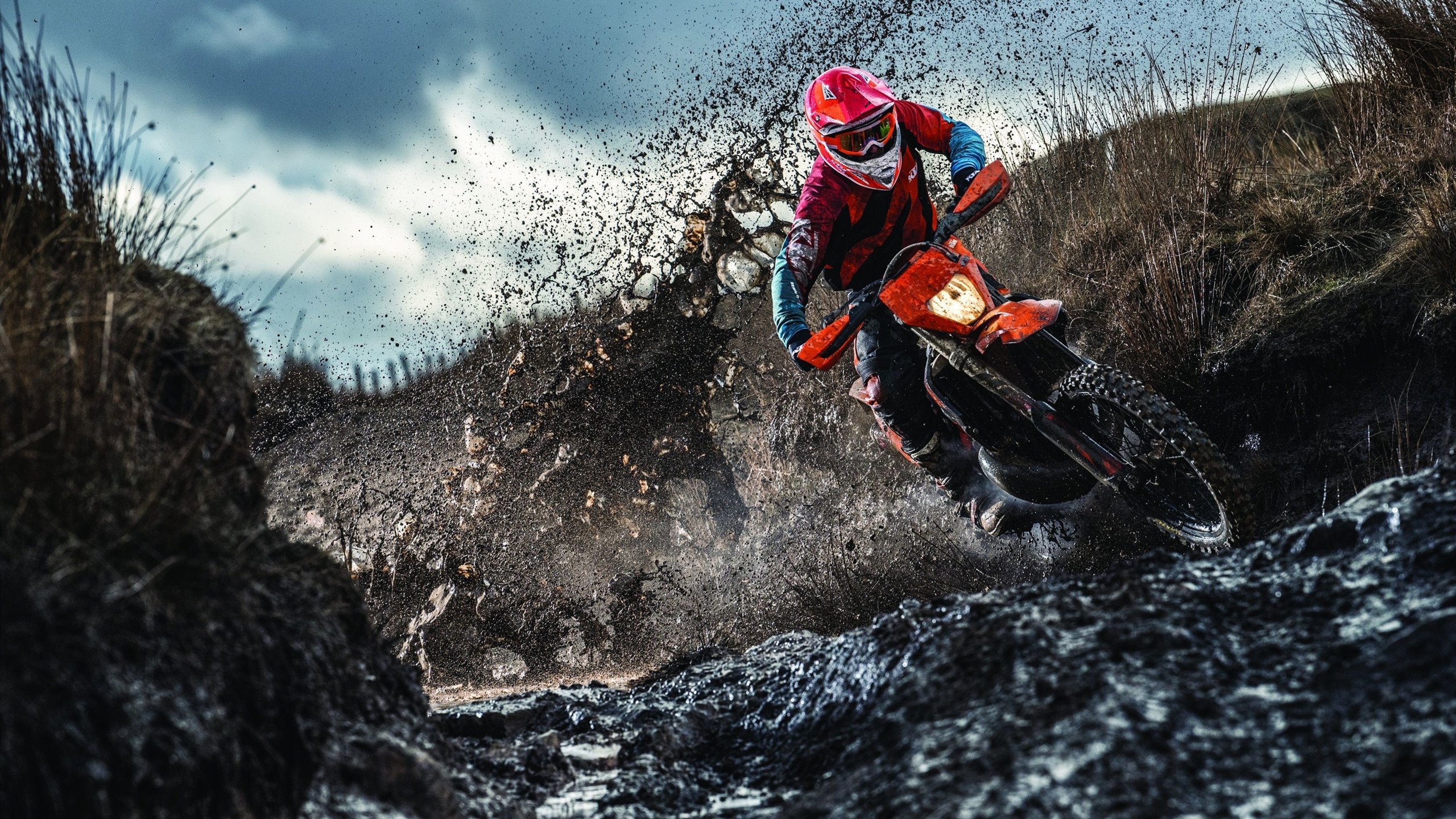 巴黎之夜，绝杀与尖叫，足球与乒乓的跨界回响